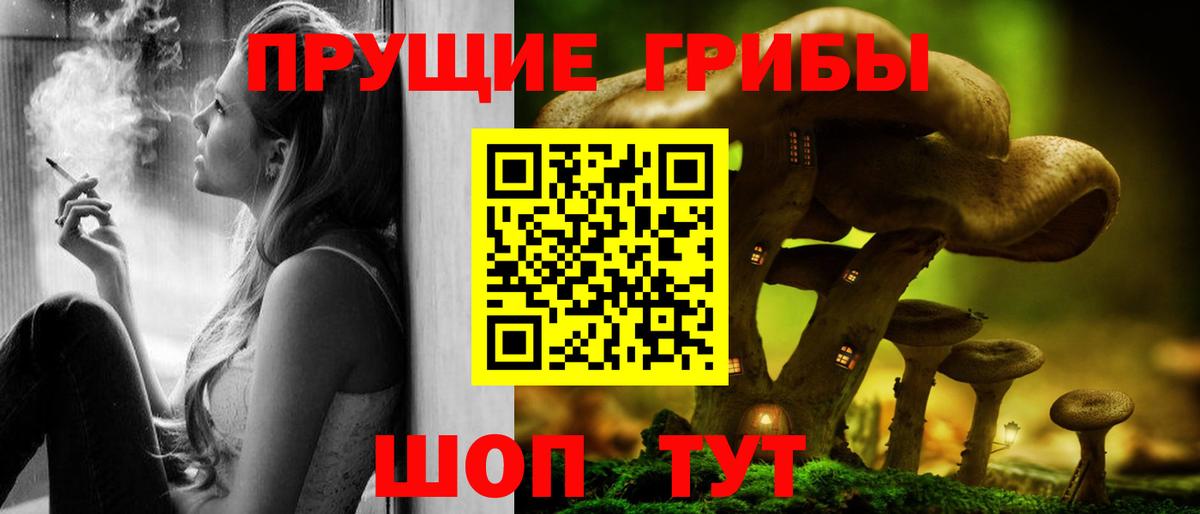 Галлюциногенные грибы мухоморы Великий Устюг